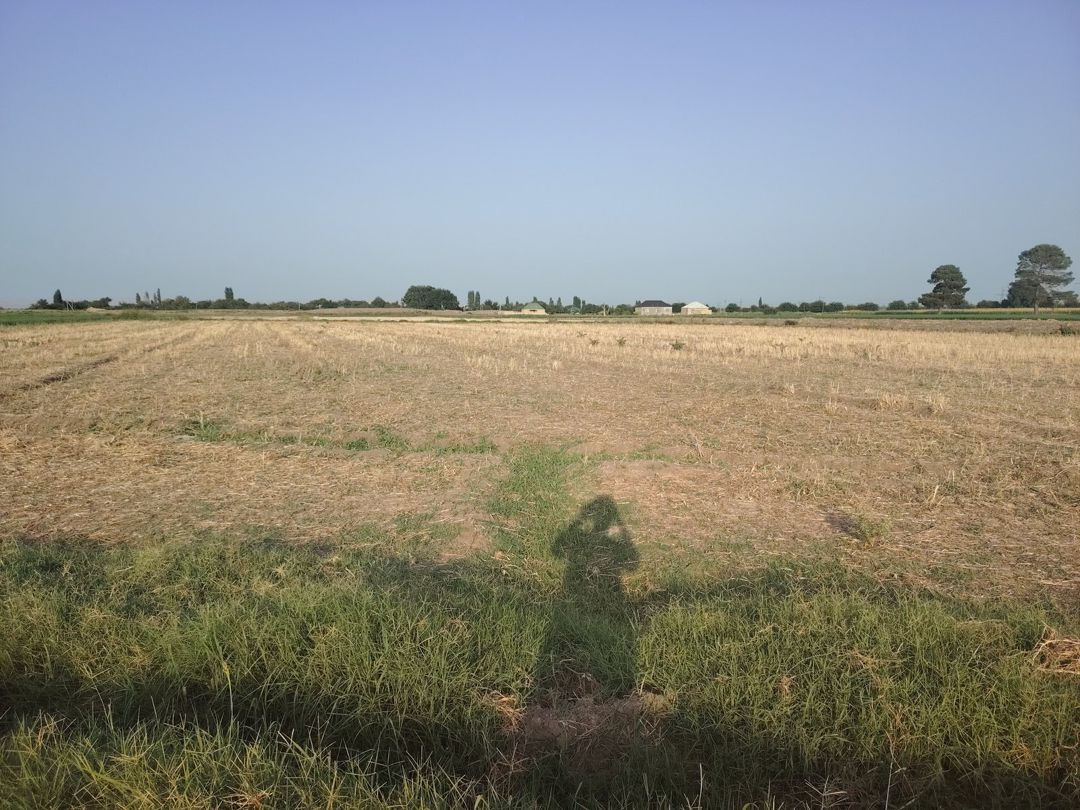 36 sot torpaq sahəsi, Samux r. — Torpaq, Samux