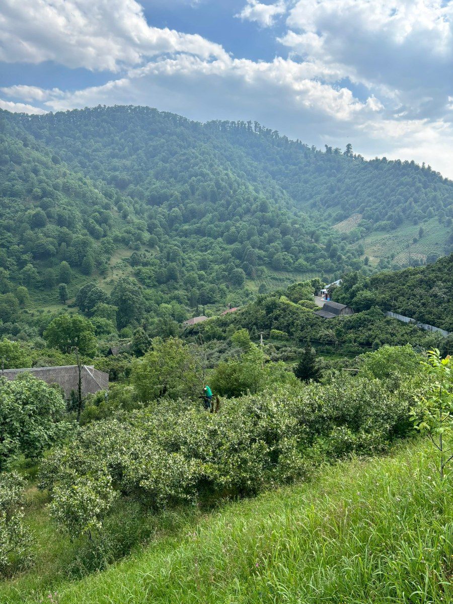 70 sot torpaq sahəsi, Astara ş. — Torpaq, Astara (4)