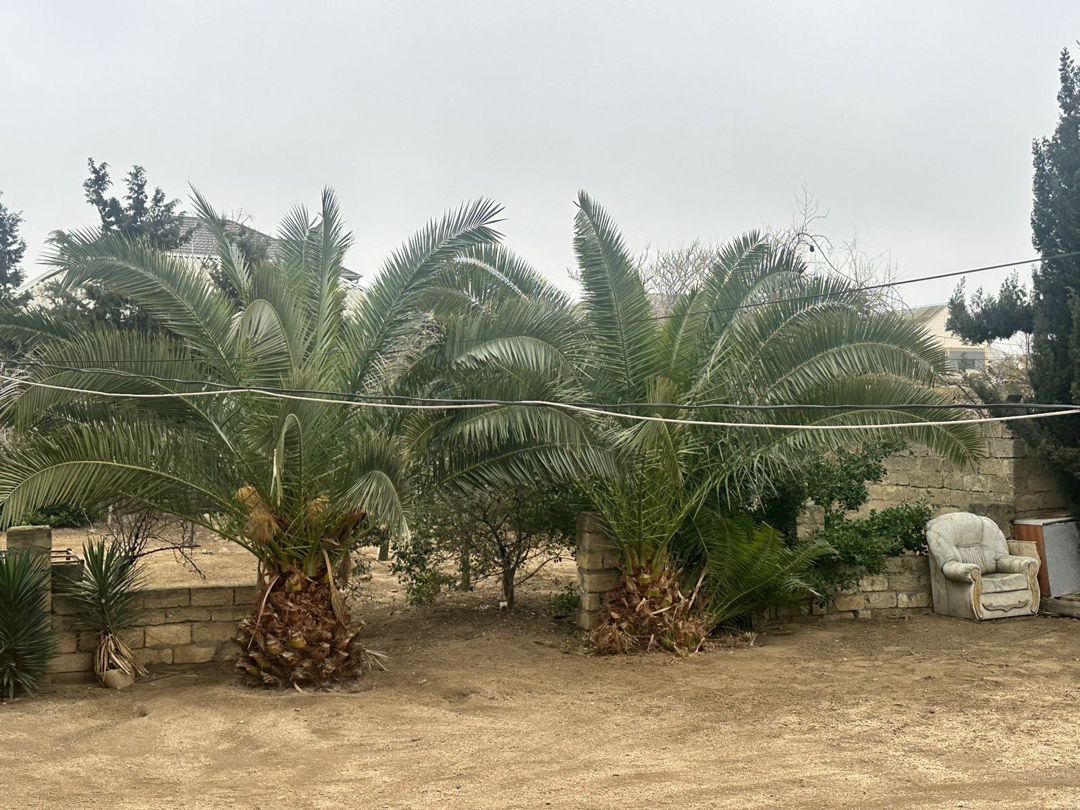 Həyət evi, Corat qəs., 19 sot, 2 mərtəbə, dəniz yaxınlığında — Ev, villa, Sumqayıt (3)