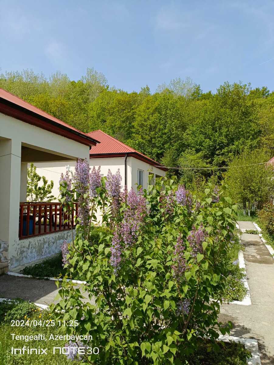 Bağ evi kirayə verilir, Quba r. — Daşınmaz əmlak, Quba