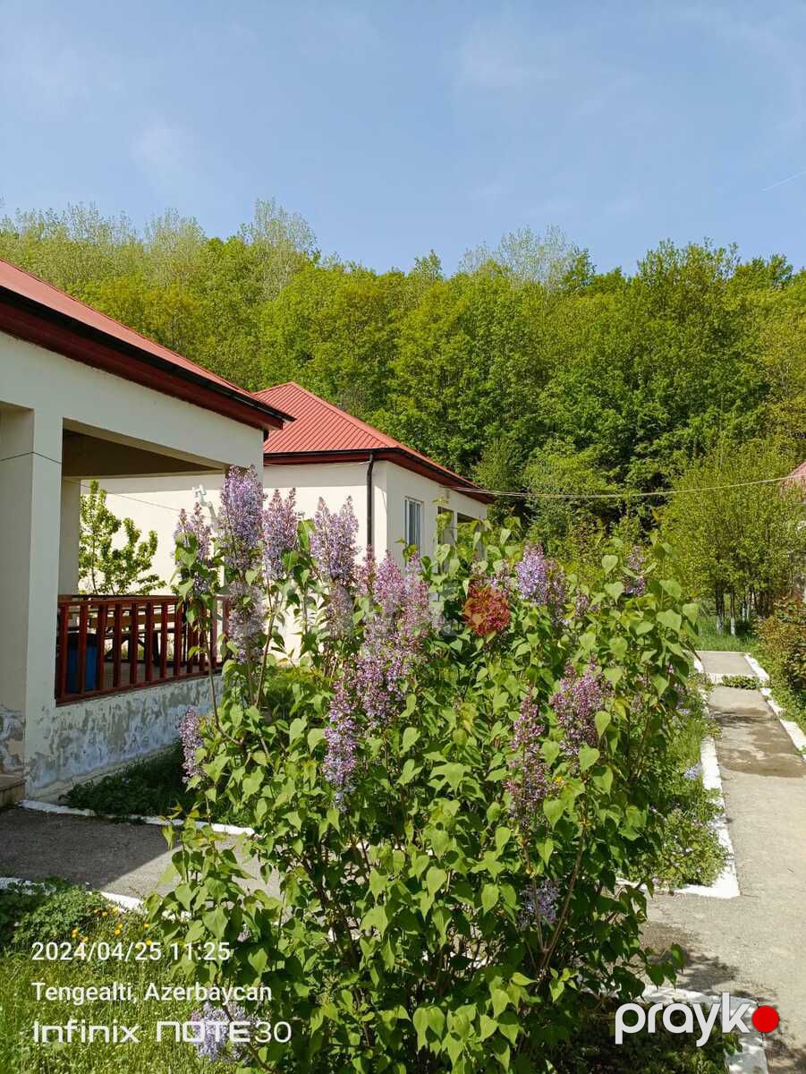 Bağ evi kirayə verilir, Quba r — Ev, villa, Quba (2)