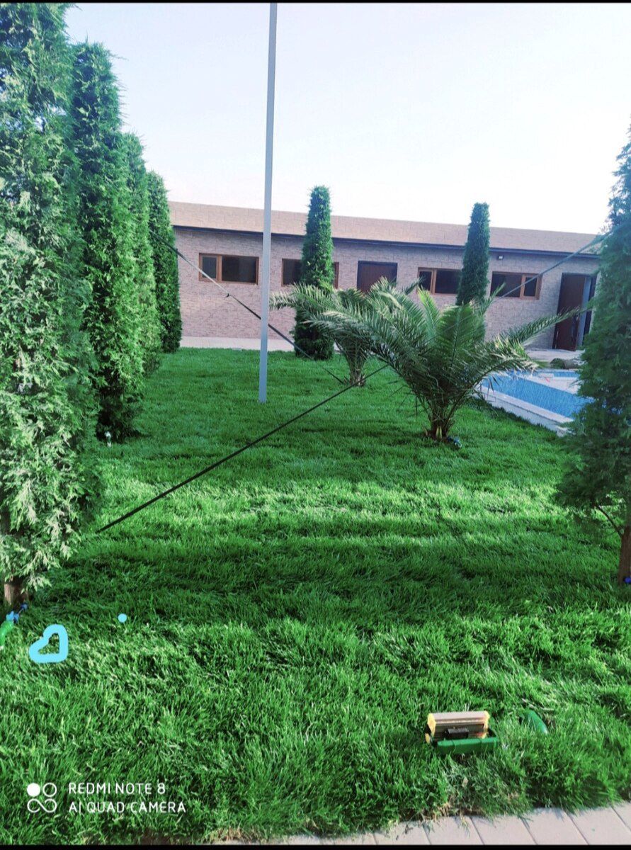 Qazon — Bitkilər, Bakı (2)