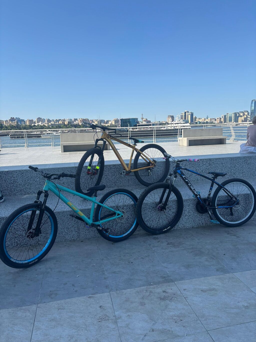 Gt labomba Dirt/Street tipli tək sürət (single-speed) spank spoon 32 — Velosipedlər, Bakı (6)