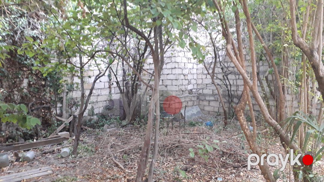 3 sot torpaq sahəsi, Biləcəri qəs. — Torpaq, Bakı (6)