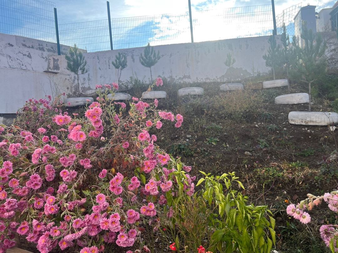 Həyət evi kirayə verilir, Laçın r. — Daşınmaz əmlak, Laçın (11)