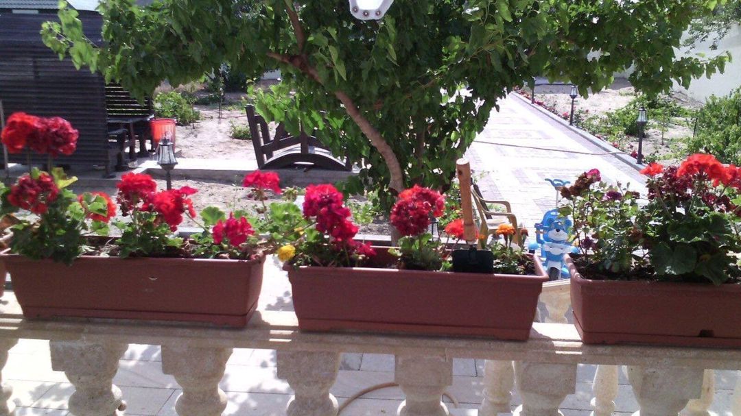 Satılır 5 otaqlı həyət evi/bağ evi 285 m² — Ev, villa, Bakı (9)