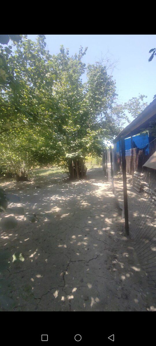 11.25 sot torpaq sahəsi, İsmayıllı r. — Torpaq, İsmayıllı (12)