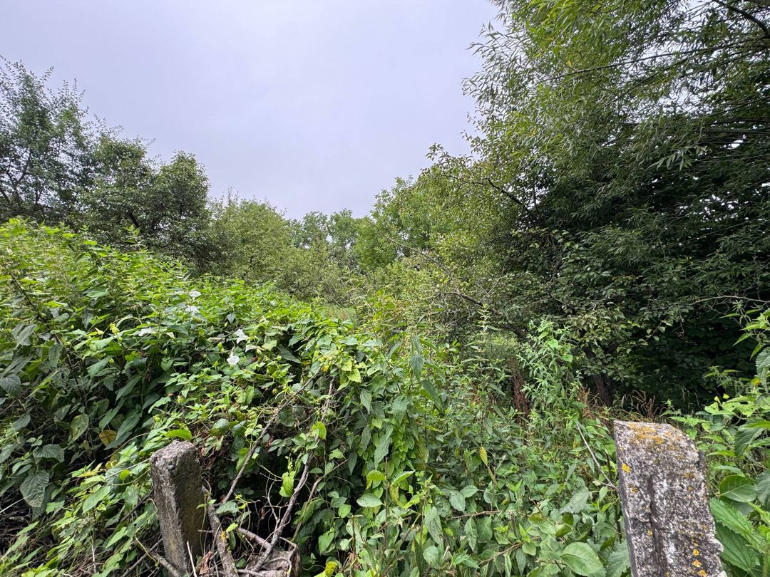 12 sot torpaq sahəsi, Avaran kəndi — Torpaq, Qusar (3)