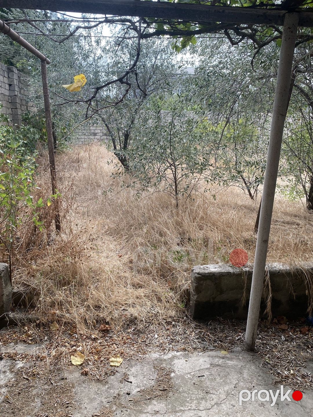 Satılır torpaq 5 sot — Torpaq, Bakı (8)