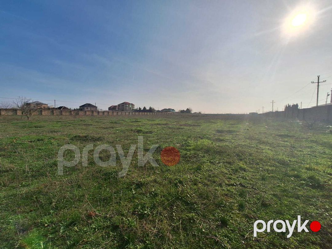 Satılır torpaq 31 sot — Torpaq, Bakı (4)