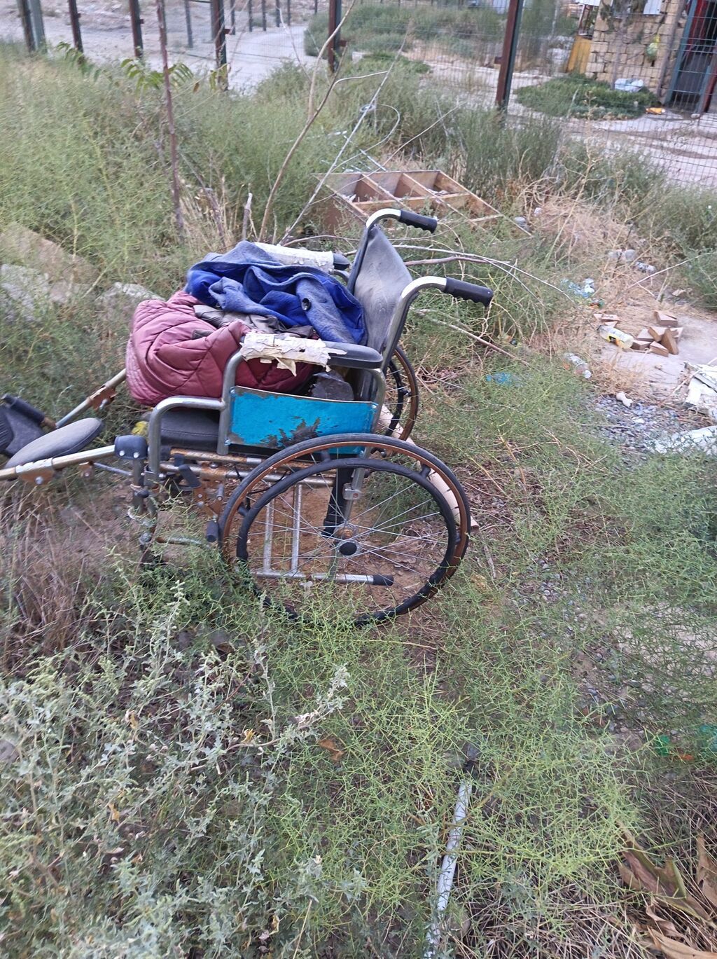 Elil arbasi qiymeti 100 manat — Mallar, Bakı (3)