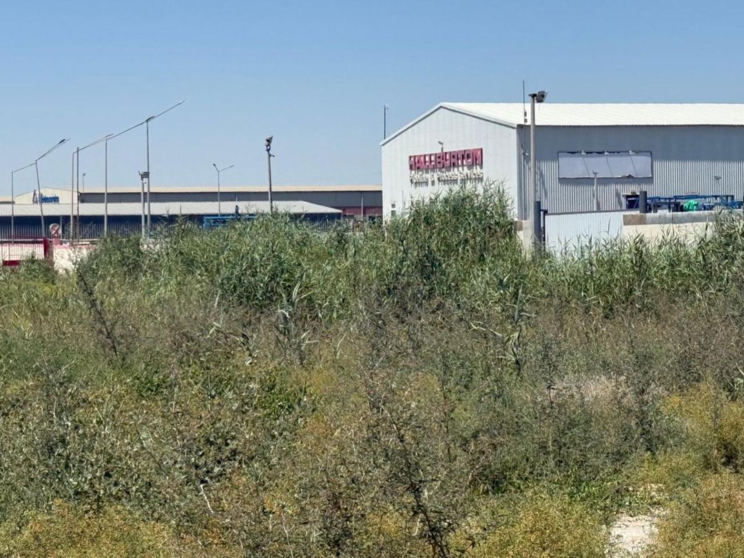 Satılır torpaq 8.2 sot — Torpaq, Bakı (2)