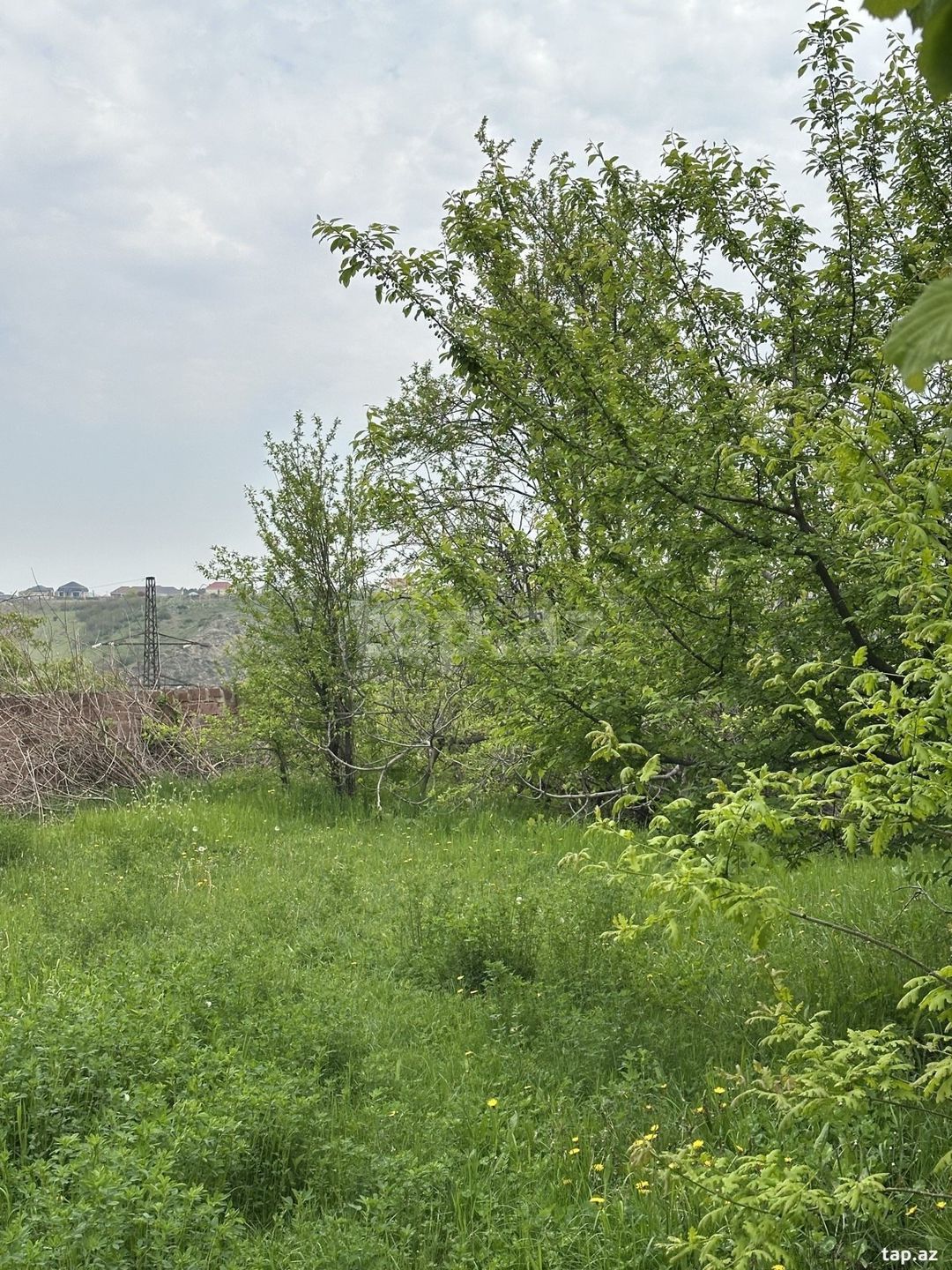 31 sot torpaq sahəsi, Gəncə ş. — Torpaq, Göygöl (4)
