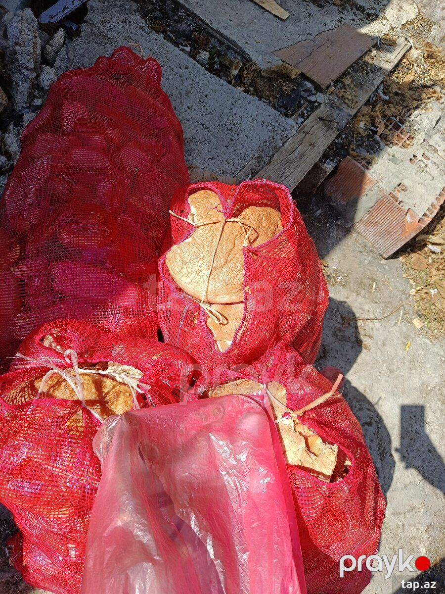 Quru çörək — Heyvanlar, Bakı (3)