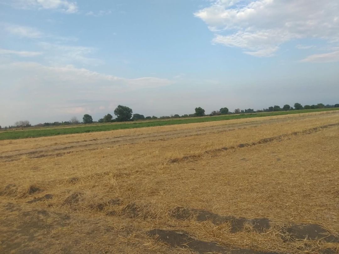 2.30 sot torpaq sahəsi, Tərtər r. — Torpaq, Tərtər (11)
