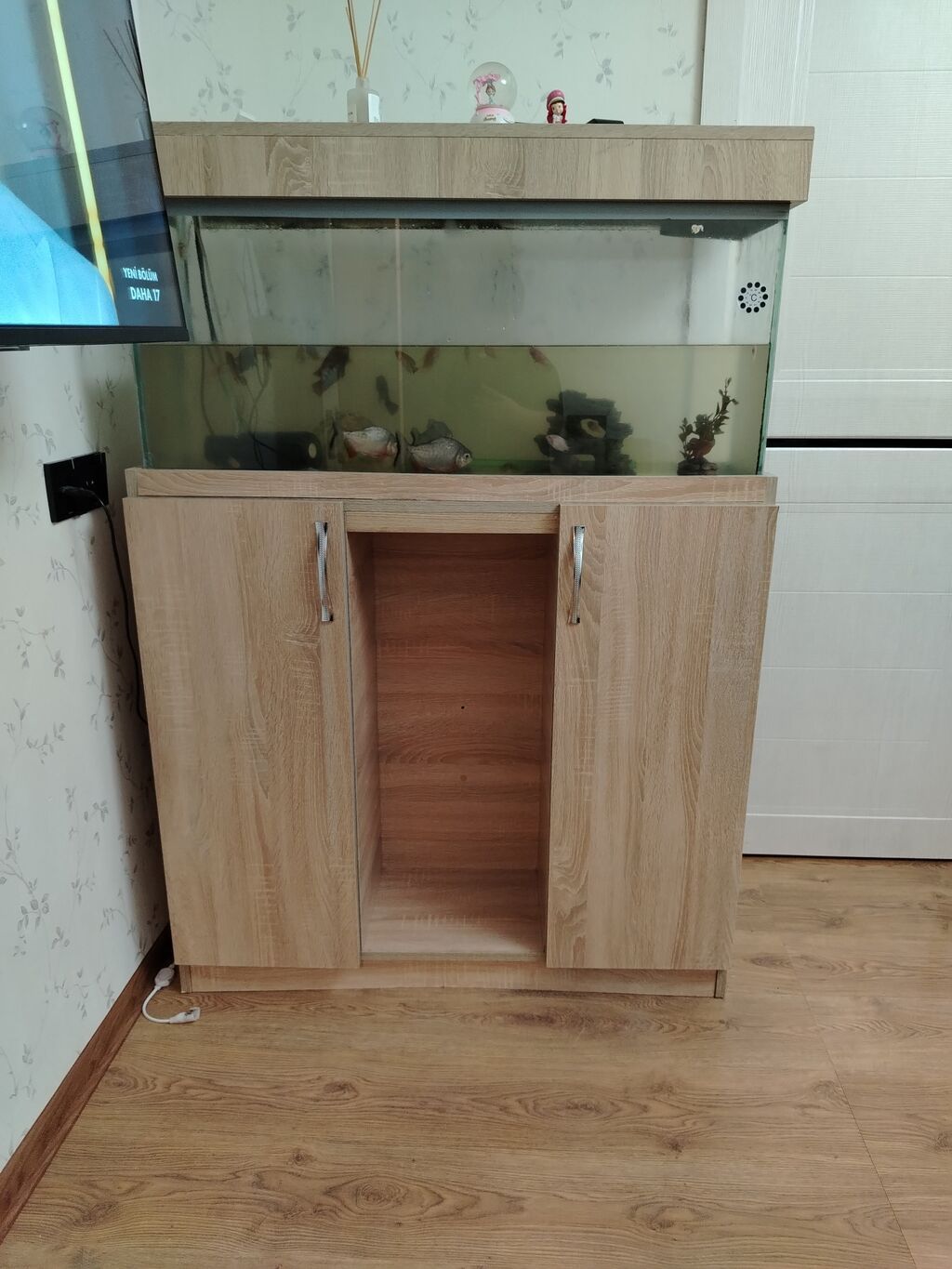 Akvarium satılır — dekorasyon olmadan