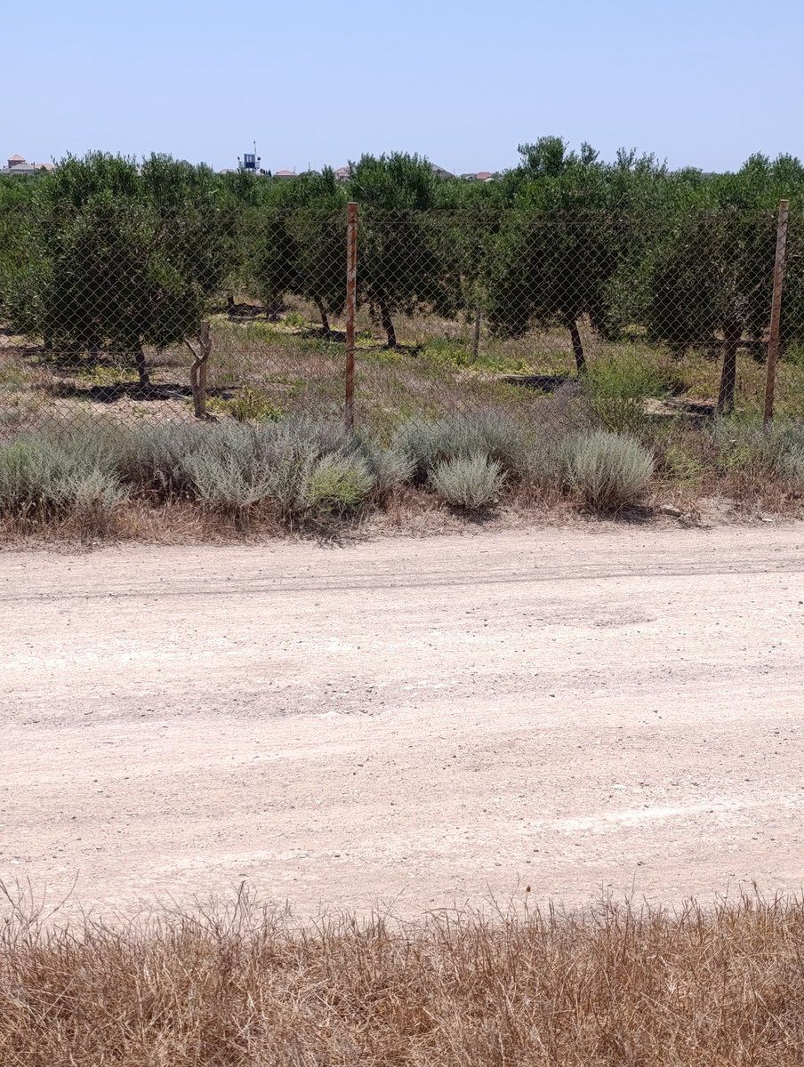 Satılır torpaq 10 sot — Torpaq, Bakı (11)