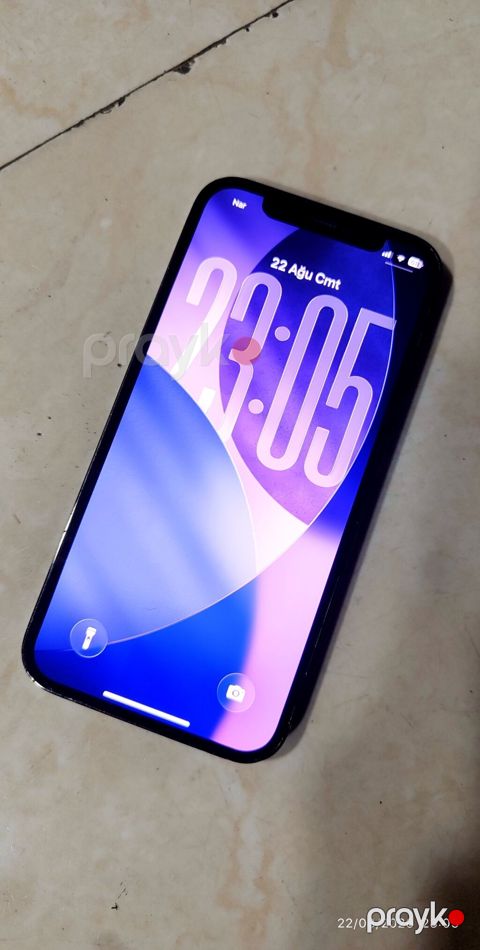 IPhone 12 Pro, 256 GB, Graphite, Face ID