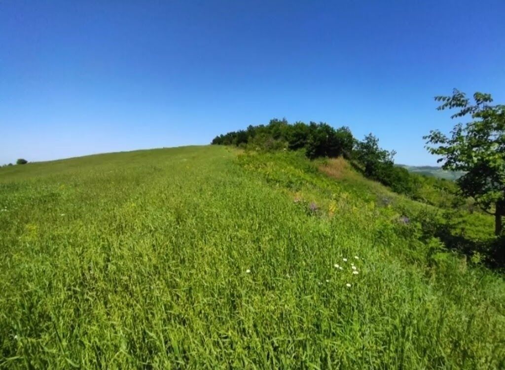 524 sot, Biznes üçün, Barter mümkündür, Kupça (Çıxarış) — Torpaq, Quba (6)