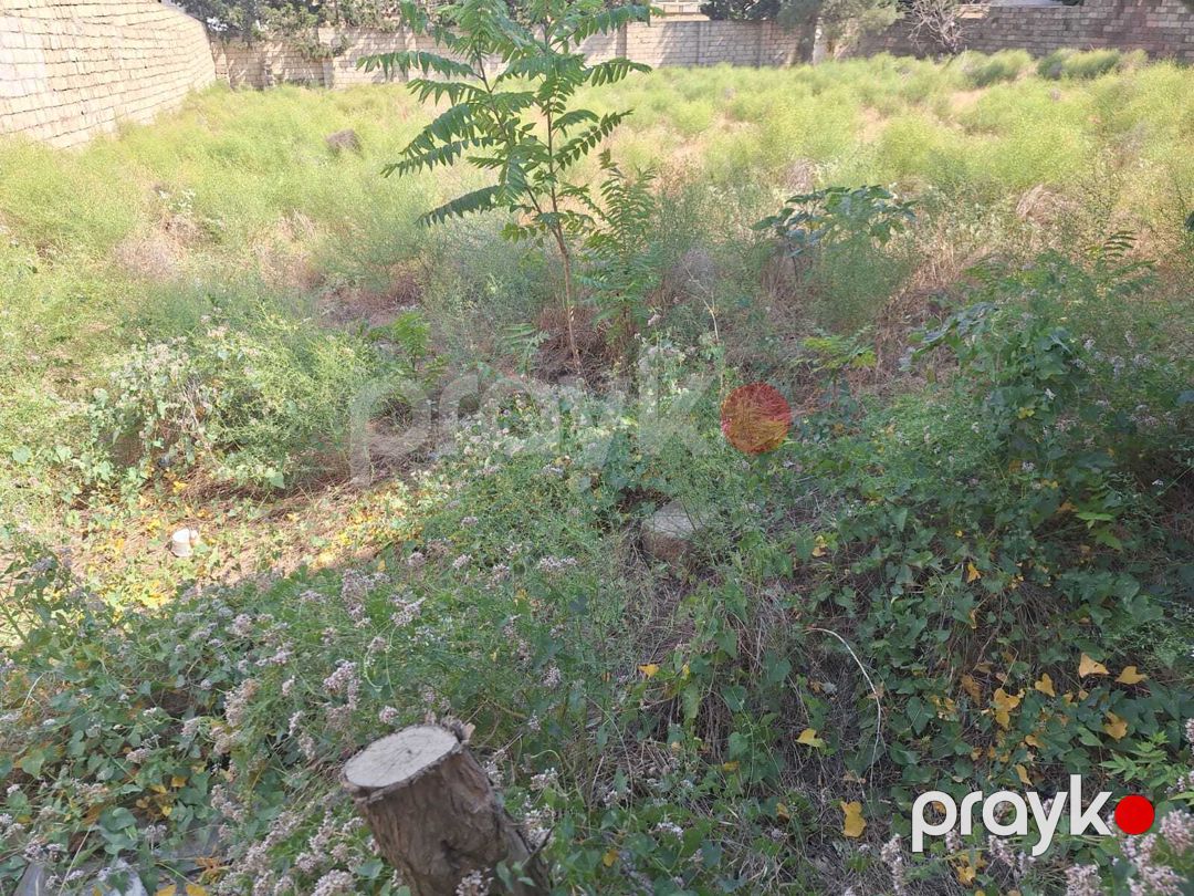 Satılır torpaq 6 sot — Torpaq, Bakı (5)