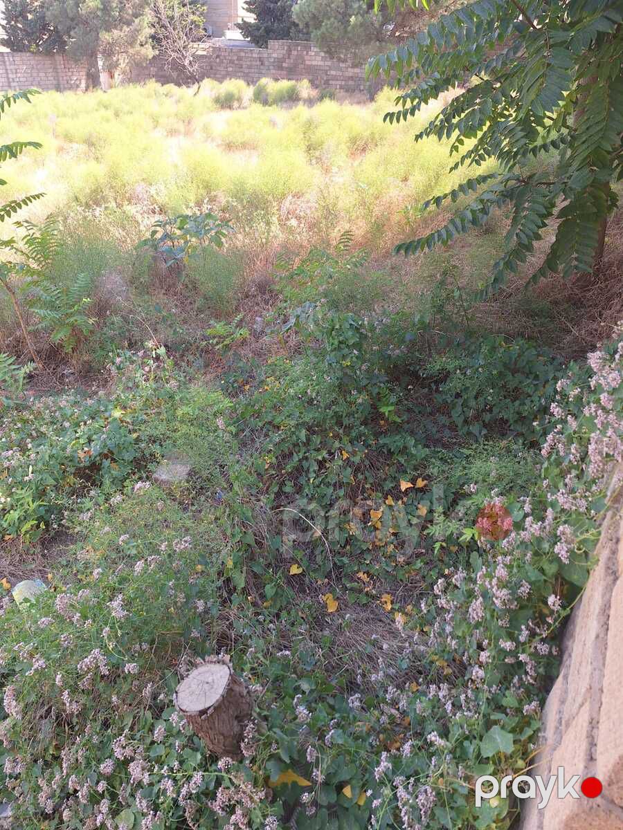 Satılır torpaq 6 sot — Torpaq, Bakı (3)