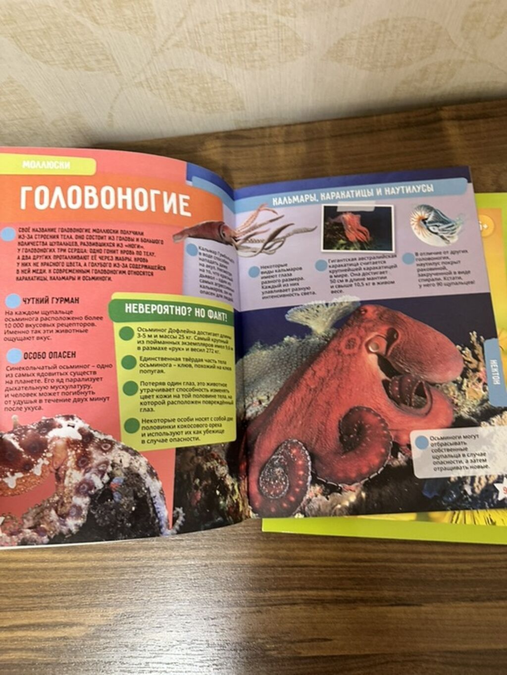 KidzLab “Artırılmış Reallıq Ensiklopediyaları” – 3 kitabdan ibarət — Kitablar və jurnallar, Bakı (3)
