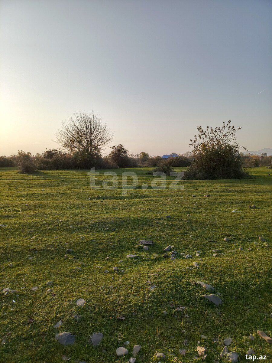24 sot torpaq sahəsi, Oğuz r. — Torpaq, Oğuz (3)