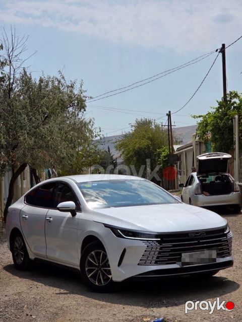 BYD Destroyer 05, 1.5 L, 18.3 kWh, 2025 il, 7 300 km