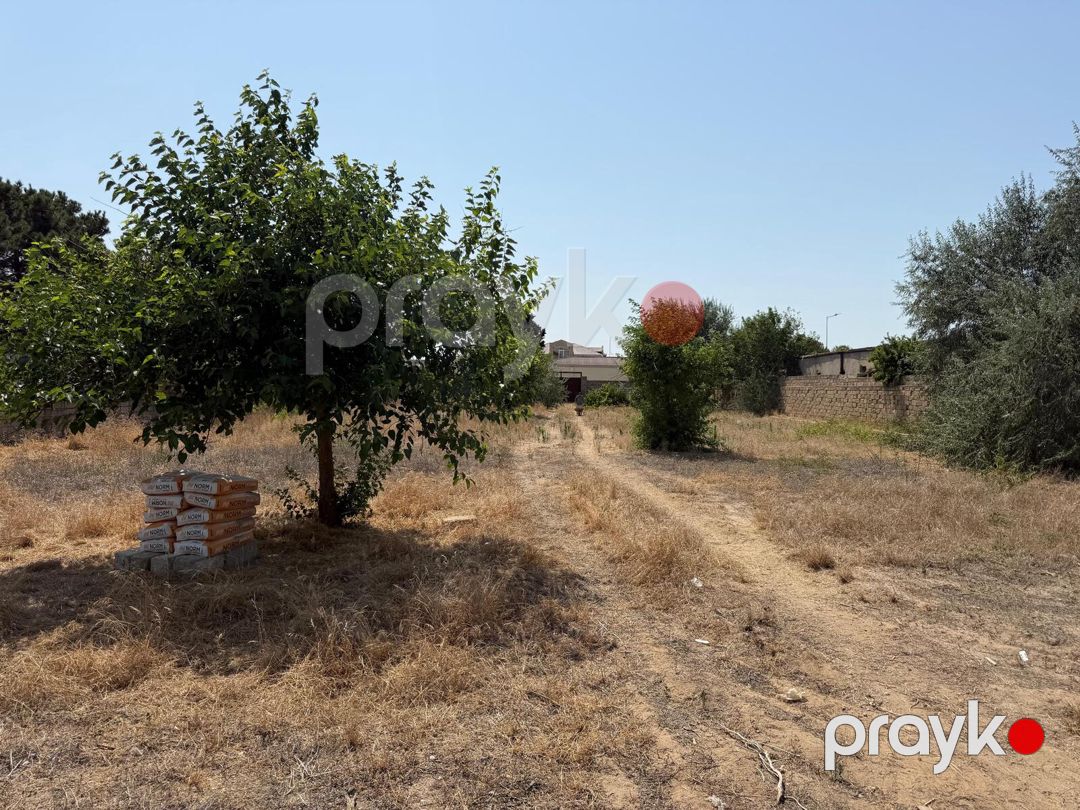 Satılır torpaq 12 sot — Torpaq, Bakı (3)