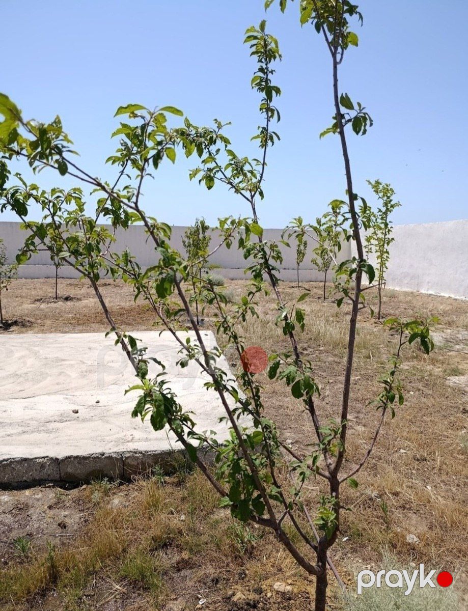 Satılır torpaq 10 sot — Torpaq, Bakı (8)