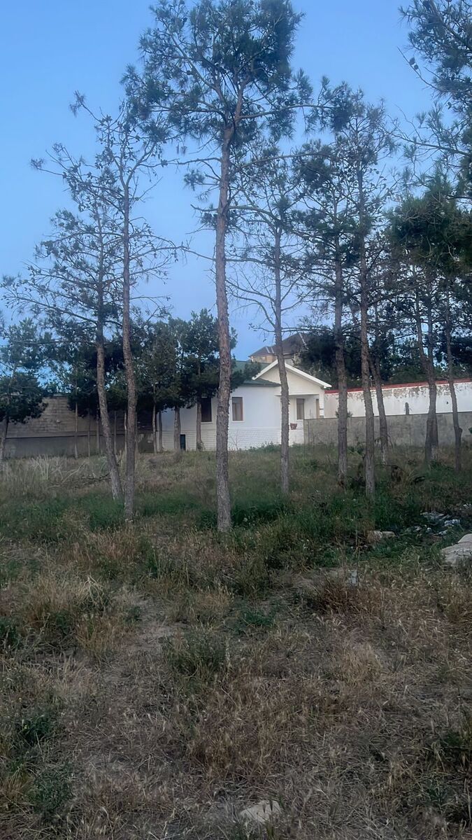 Satılır torpaq 17.5 sot — Torpaq, Bakı (4)