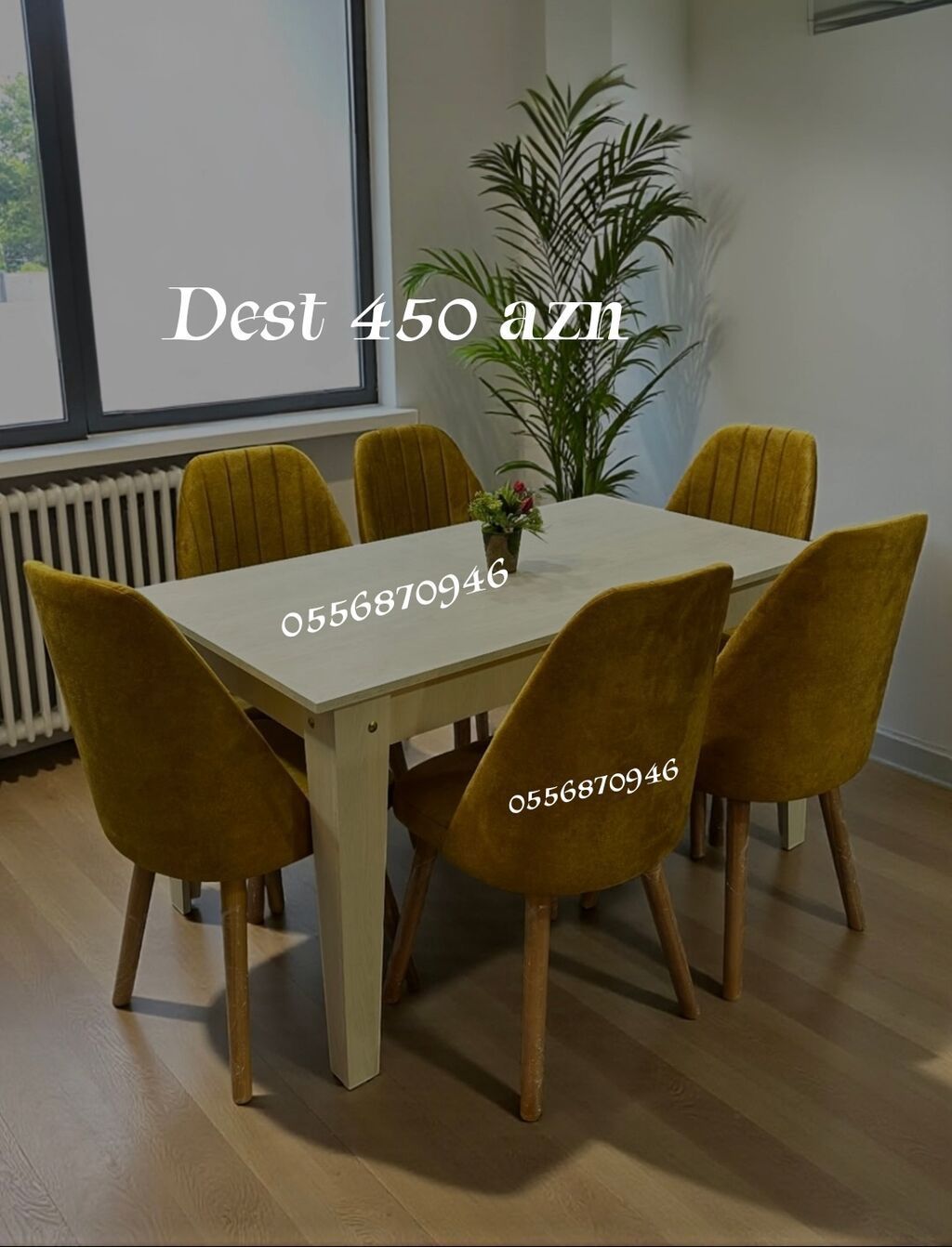 Qonaq otağı üçün, Yeni, Açılmayan, Dördbucaq masa, 6 stul — Mebel, Bakı (3)