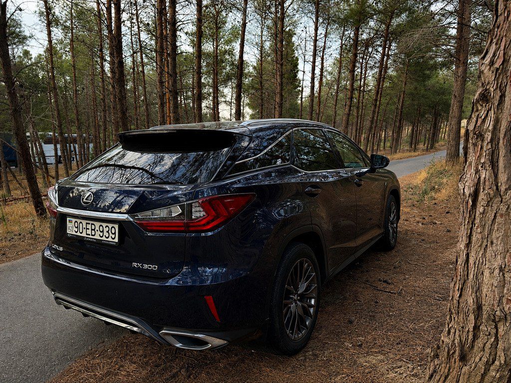 Lexus RX 300, 2.0 L, 2019 il, 125 000 km — Avtomobillər, Bakı (5)