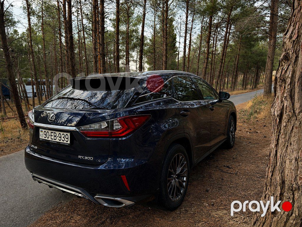 Lexus RX 300, 2.0 L, 2019 il, 125 000 km — Avtomobillər, Bakı (5)