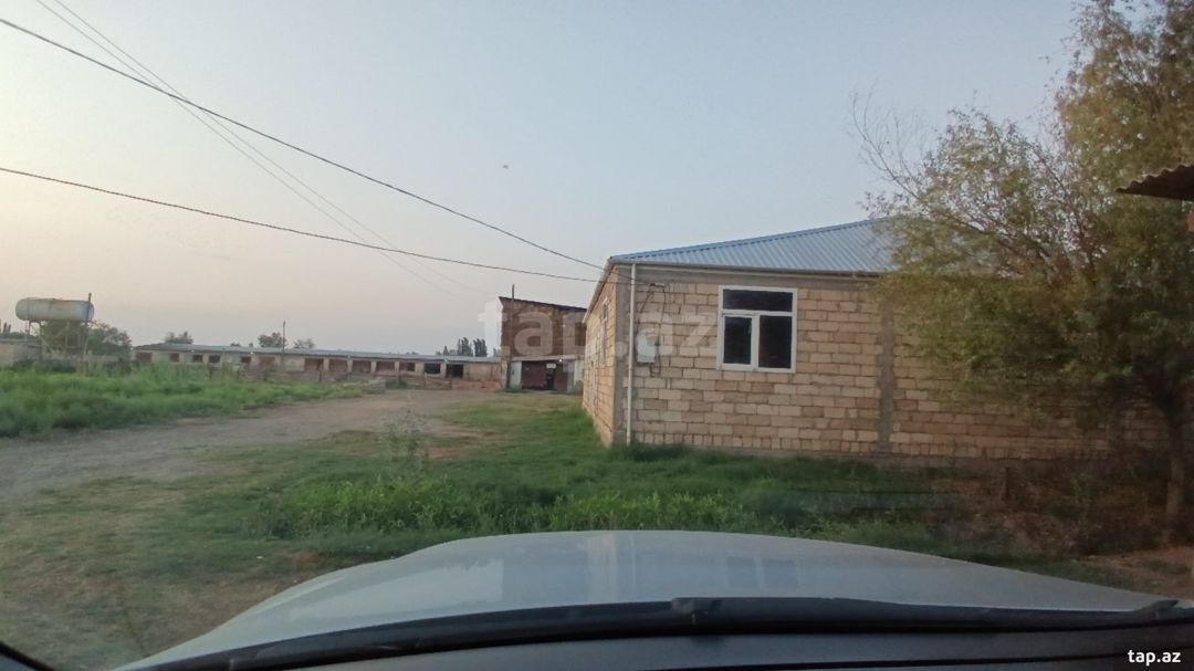 6500 sot torpaq sahəsi, Sabirabad r. — Torpaq, Sabirabad (9)