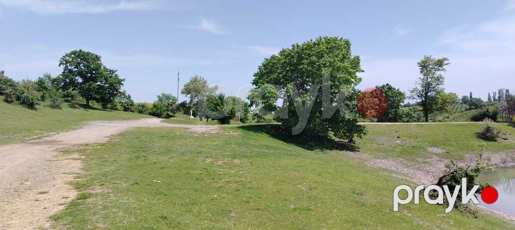 80 sot torpaq sahəsi, Quba r — Torpaq, Quba (4)