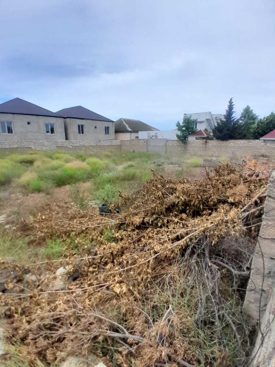 Satılır torpaq 6 sot — Torpaq, Bakı (2)