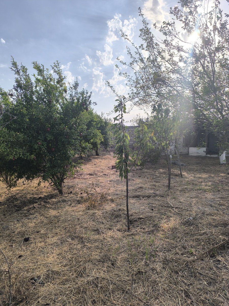 Satılır torpaq 2 sot — Torpaq, Bakı (2)