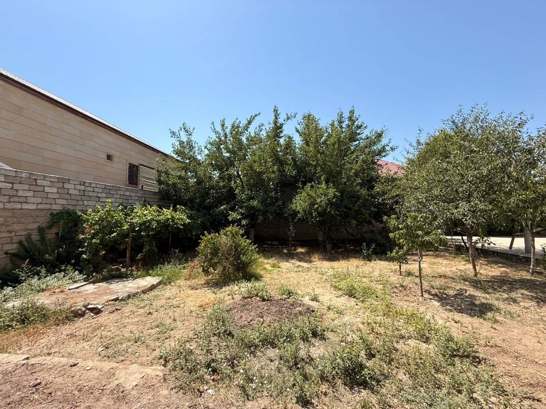 5,5 sotlq torpaq sahəsi, Şağan qəsəbəsi — Torpaq, Bakı (3)