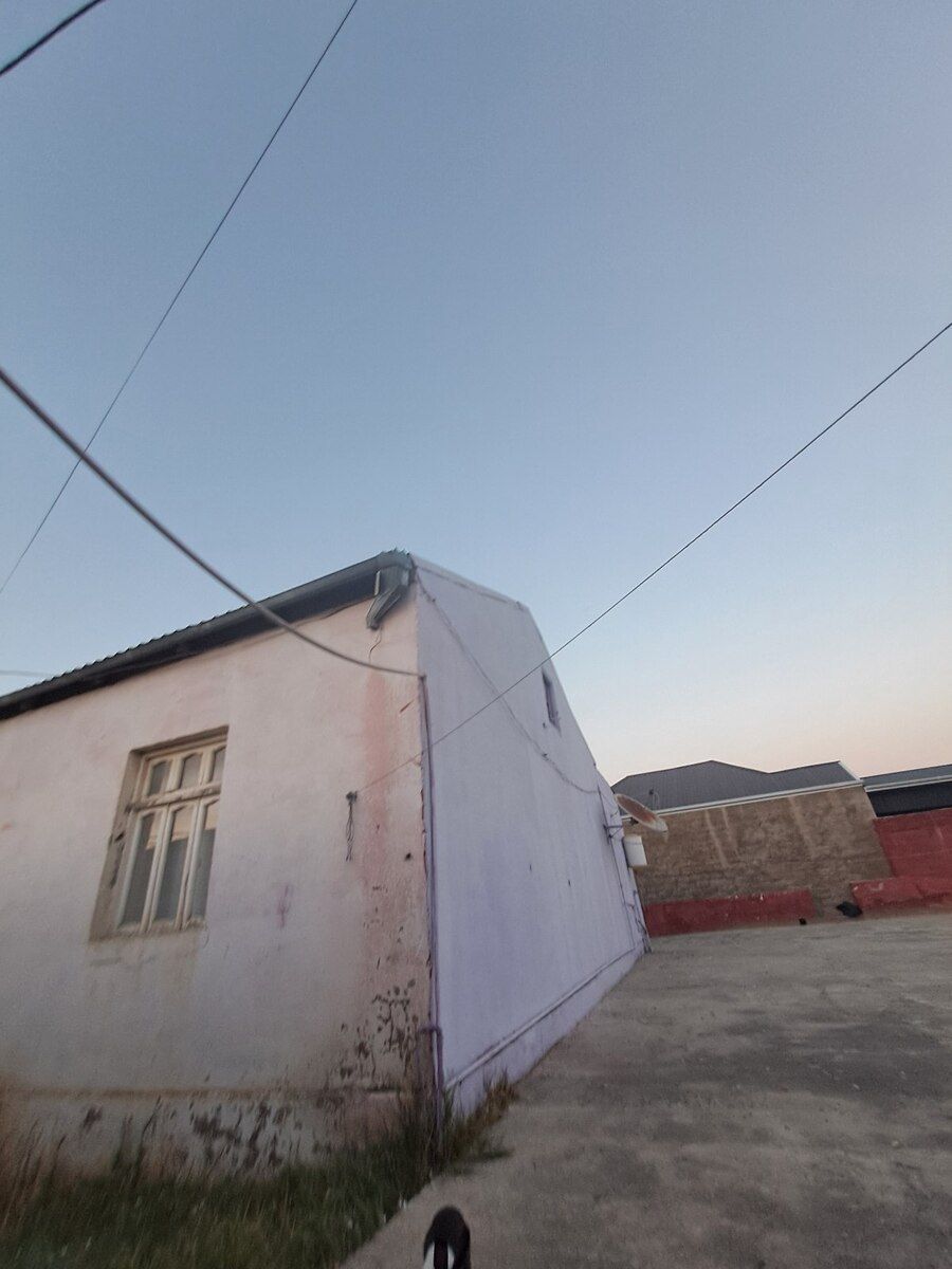 Dovşan — Dovşanlar, Bakı (3)