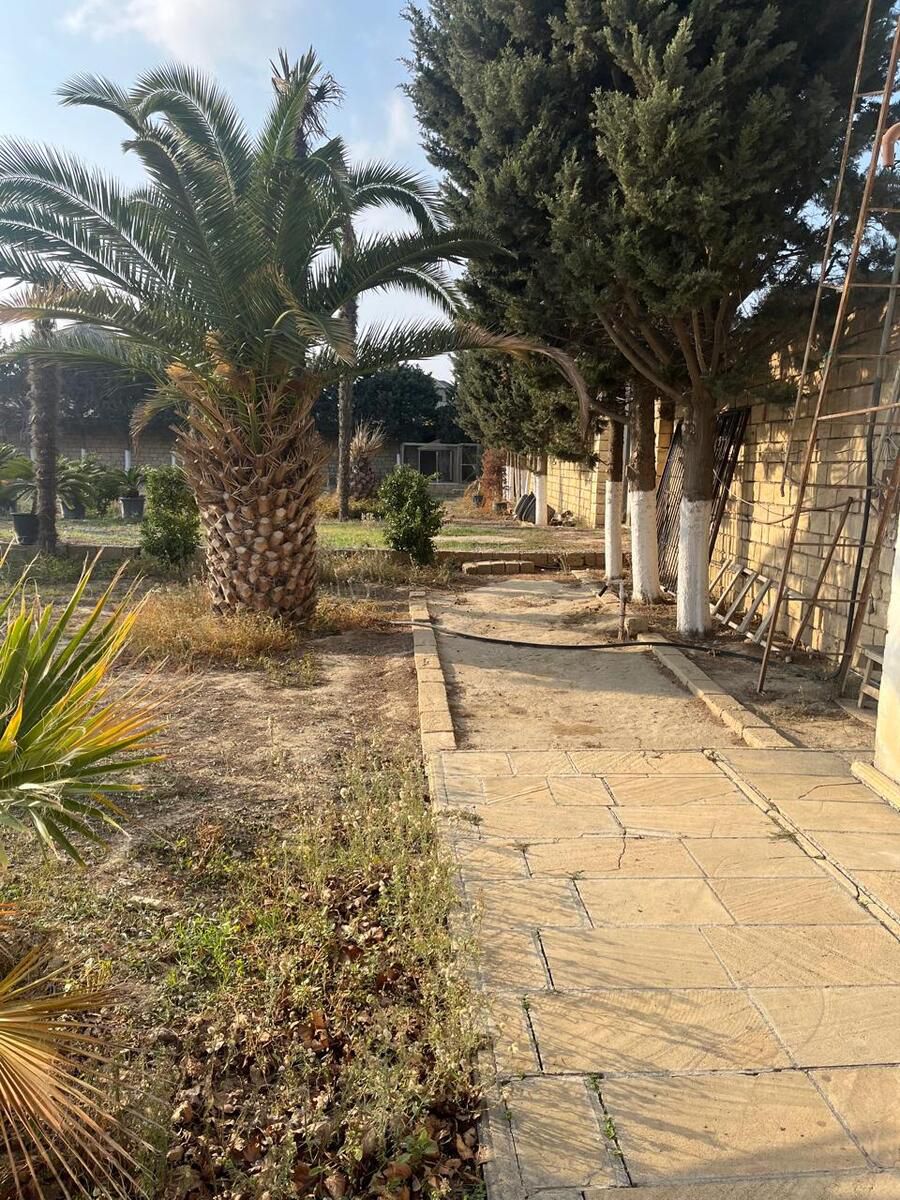 Satılır obyekt 1250 m² — Əmlak, Bakı (9)