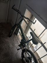 Velosiped — Velosipedlər