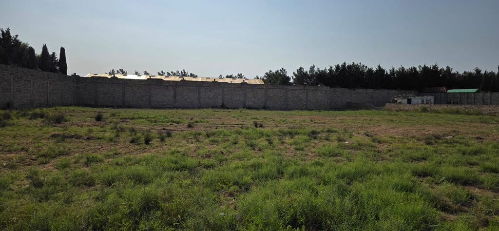 50 sot, Tikinti, Kupça (Çıxarış) — Torpaq, Digah (6)