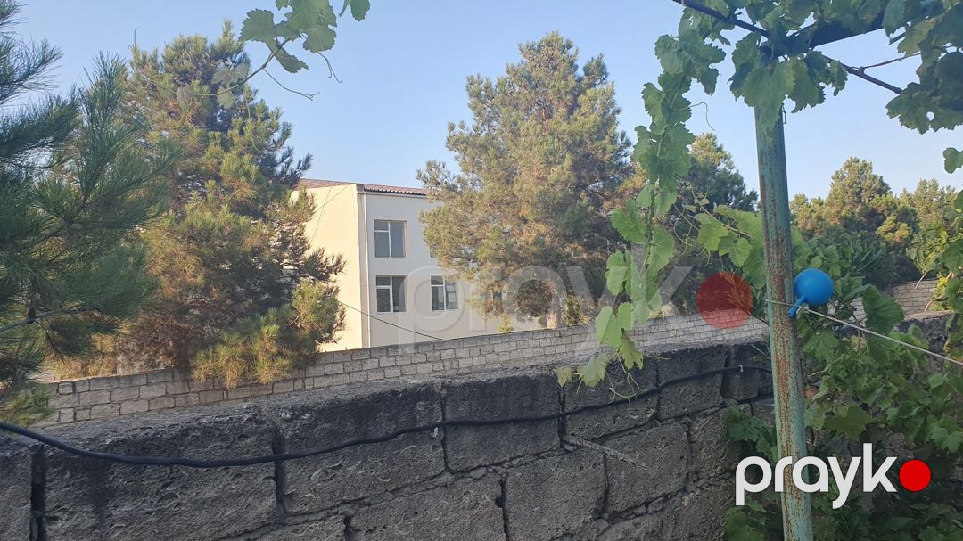 1 sot torpaq sahəsi, Albalı qəs. — Torpaq, Bakı (2)