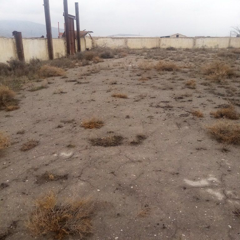Satılır torpaq 145 sot — Torpaq, Bakı