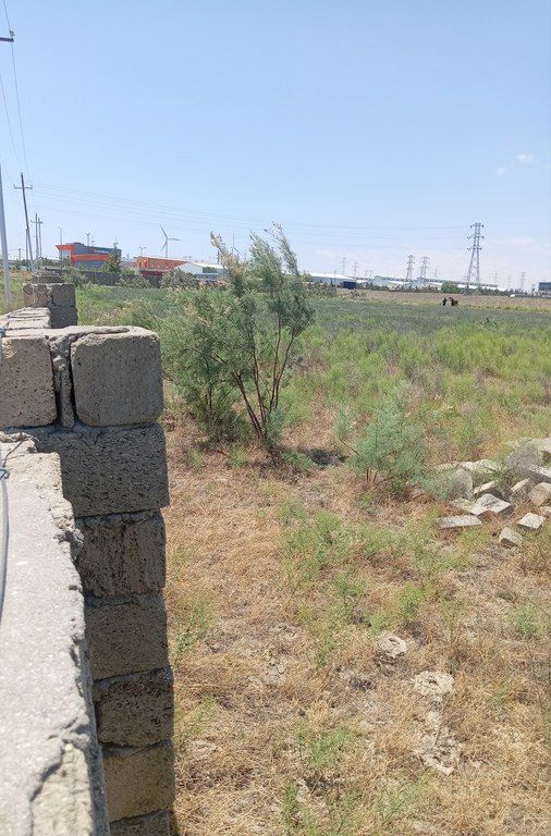Satılır torpaq 200 sot — Torpaq, Bakı (6)