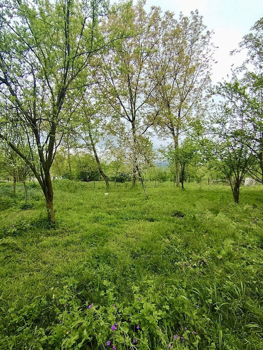 8 sot torpaq sahəsi, Qəbələ r. — Torpaq, Qəbələ (8)