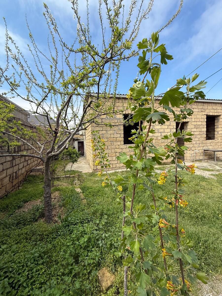 Satılır 3 otaqlı həyət evi/bağ evi 90 m² — Ev, villa, Bakı