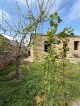 Satılır 3 otaqlı həyət evi/bağ evi 90 m² — Cəmilə xanım