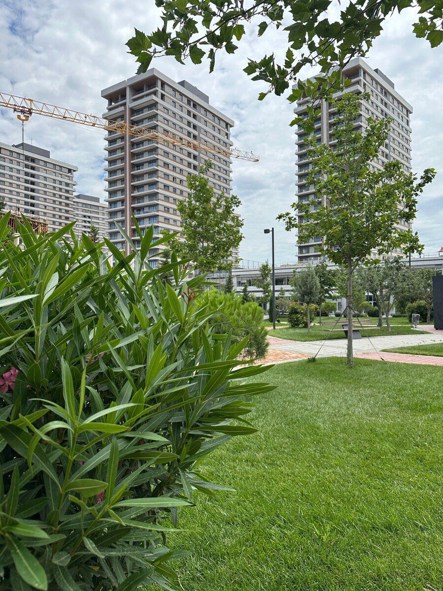 Satılır obyekt 191 m² — Əmlak, Bakı (4)